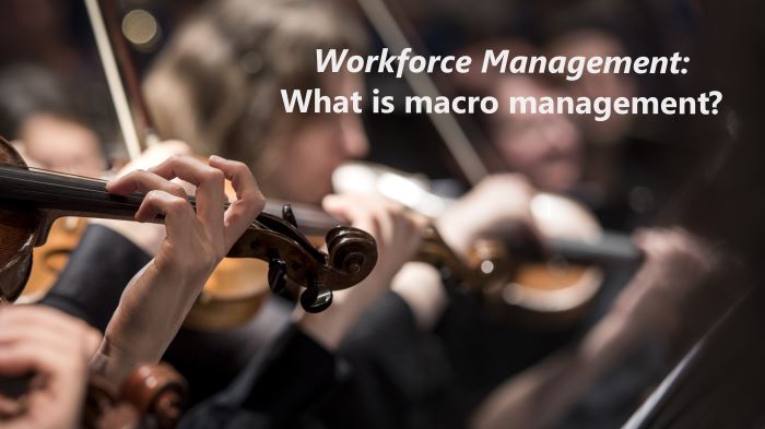 workforce-management-what-is-macro-management-livetiles