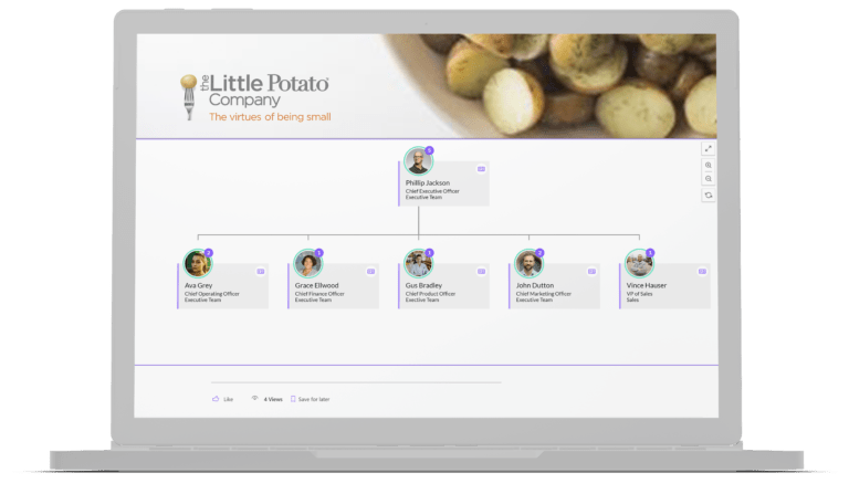 Little Potato Company