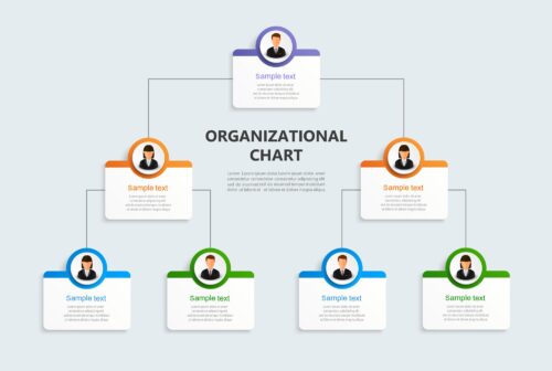 Org Chart | Dynamic Organization Chart